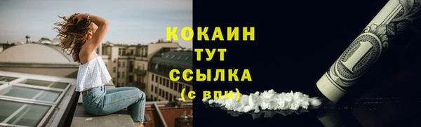 кокс Нея