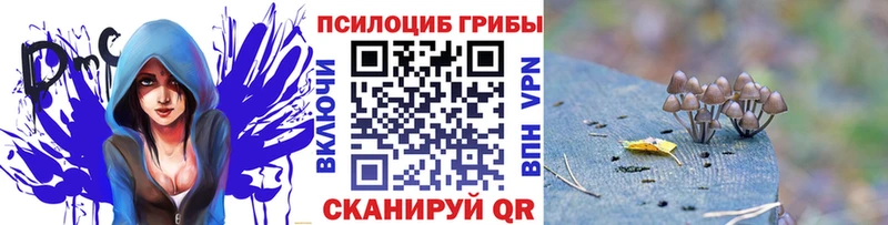 Псилоцибиновые грибы MAGIC MUSHROOMS  Нерчинск 